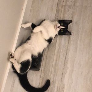 Meet your Posher, Annika